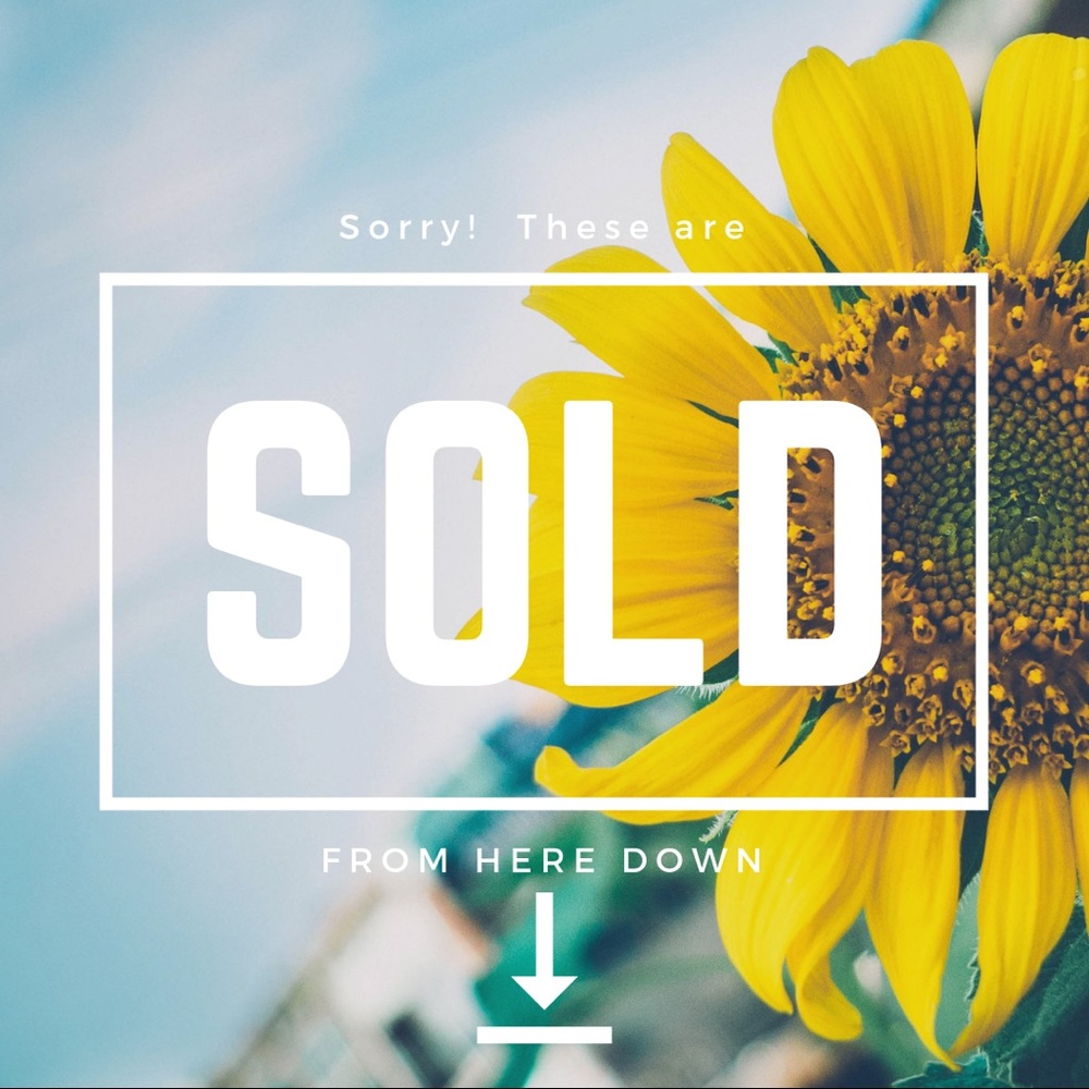 ITEMS ARE SOLD FROM HERE DOWN! 👇🏻